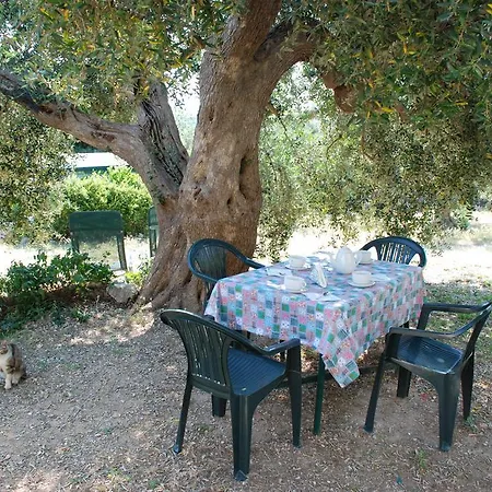 לינה וארוחת בוקר Valle Dei Trulli *