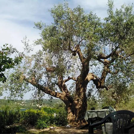Valle Dei Trulli Panzió *
